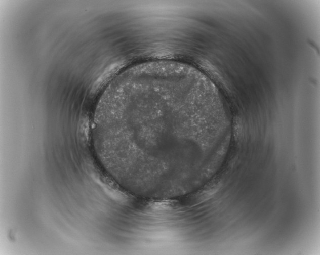 X0000102490072200808291659