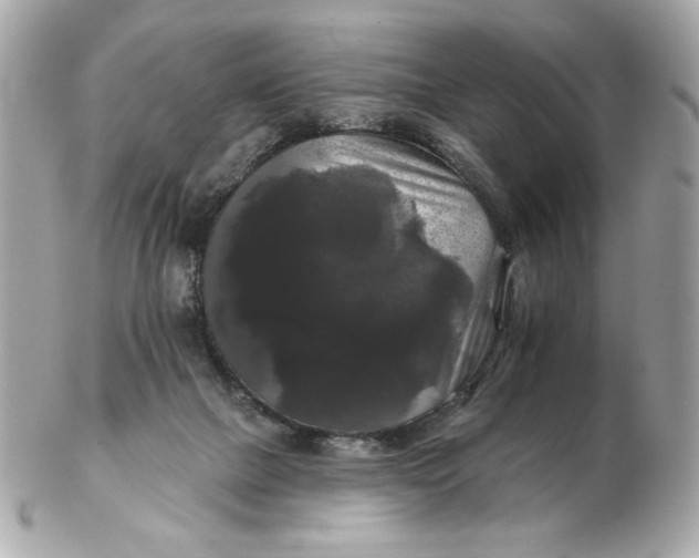 X0000102490073200808291659