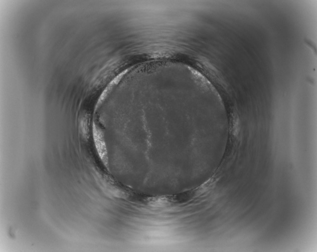 X0000102490074200808291659