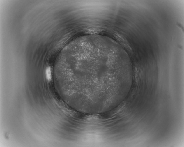 X0000102490075200808291659