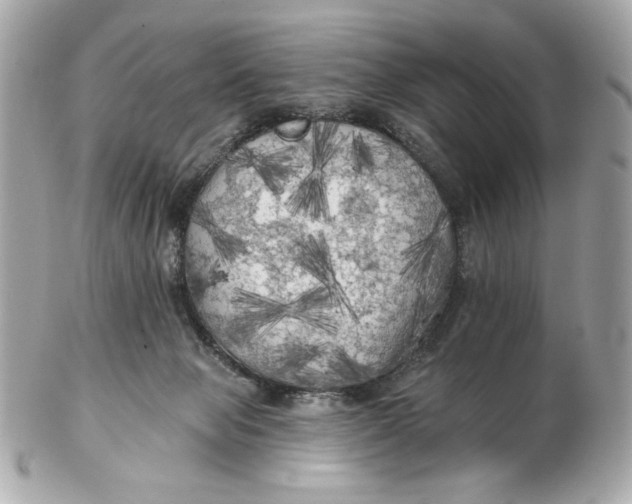 X0000102490077200808291659