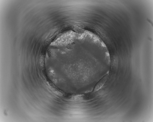 X0000102490078200808291659