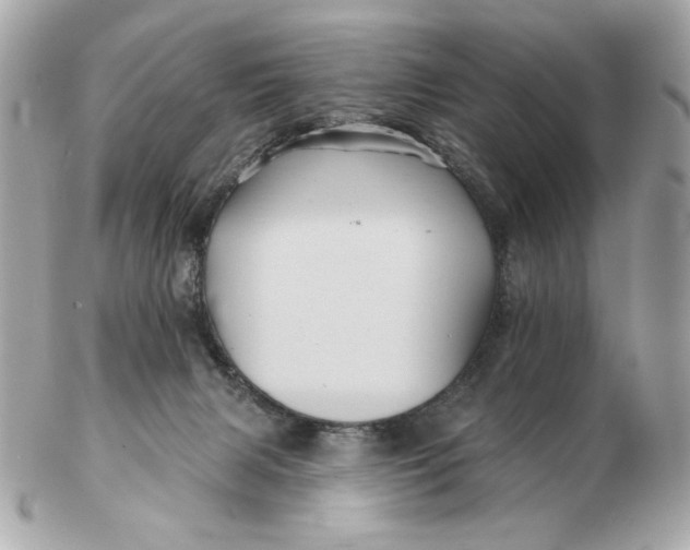 X0000102490079200808291659