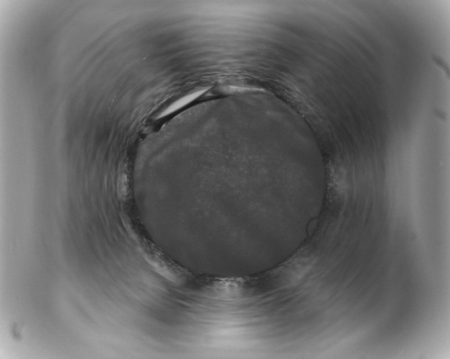 X0000102490080200808291659