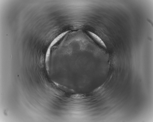 X0000102490082200808291659