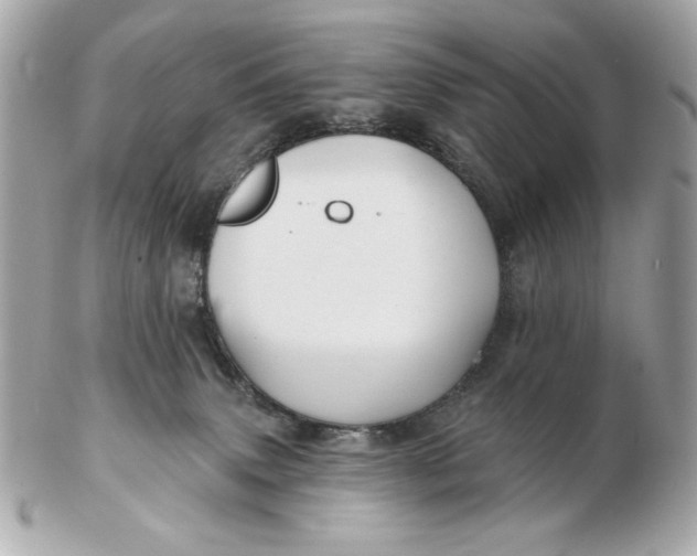 X0000102490083200808291659