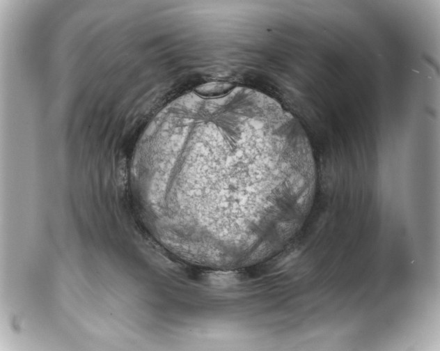 X0000102490085200808291659