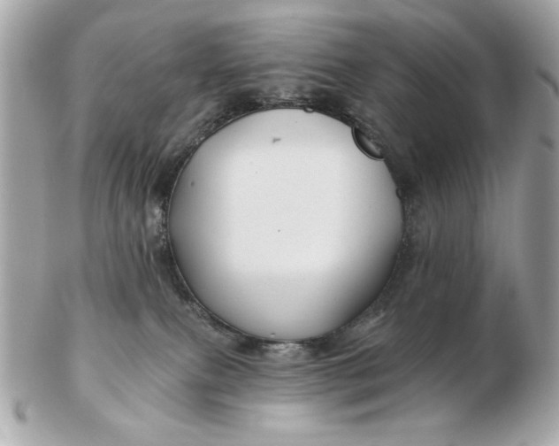 X0000102490087200808291659