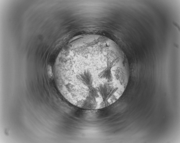 X0000102490089200808291659