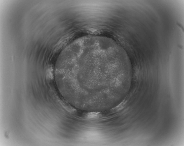 X0000102490090200808291659