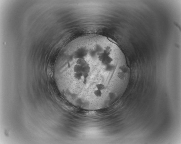 X0000102490091200808291659