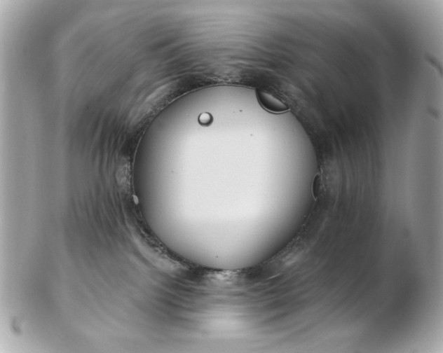 X0000102490092200808291659