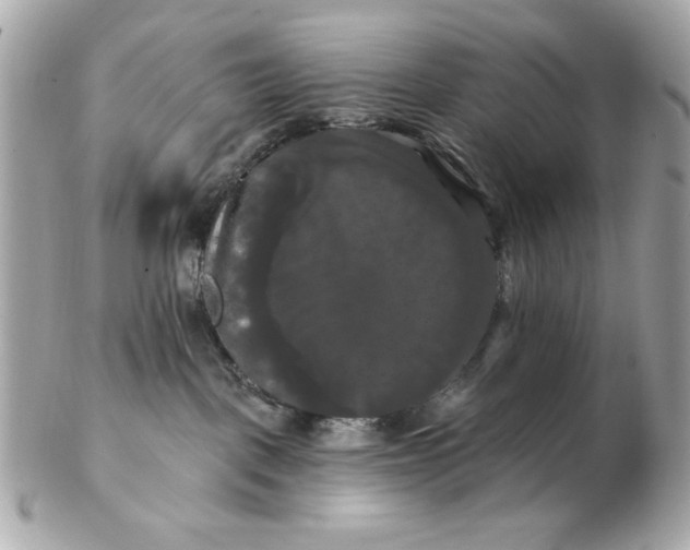 X0000102490093200808291659