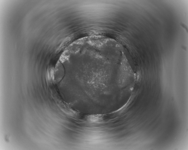 X0000102490094200808291659