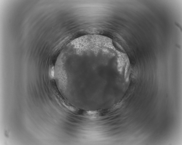 X0000102490095200808291659