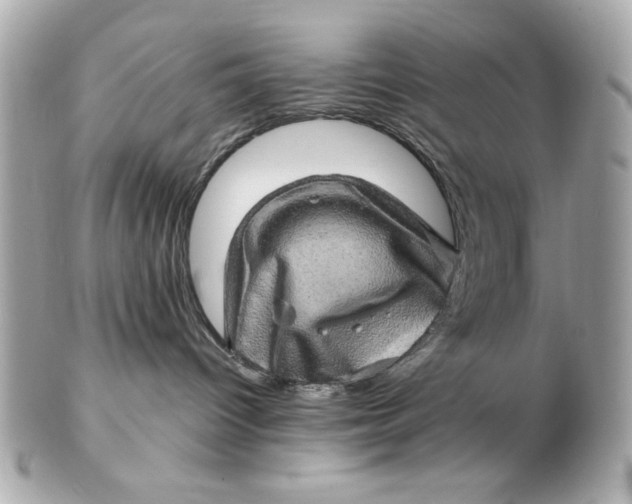 X0000102490096200808291659