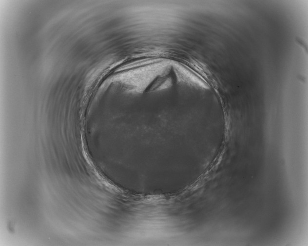 X0000102490097200808291658