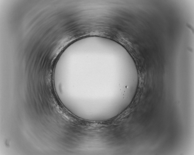 X0000102490098200808291658