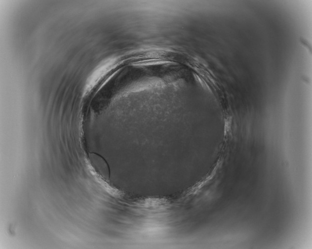 X0000102490101200808291658