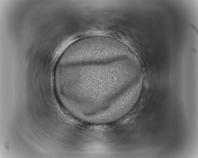 X0000102490103200808291658