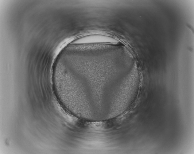 X0000102490104200808291658