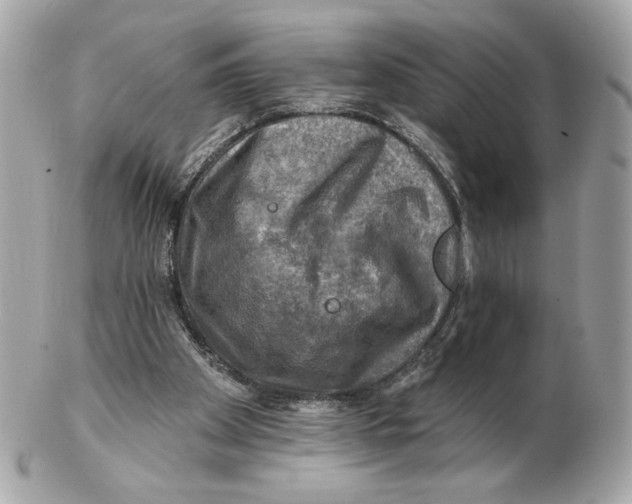 X0000102490105200808291658