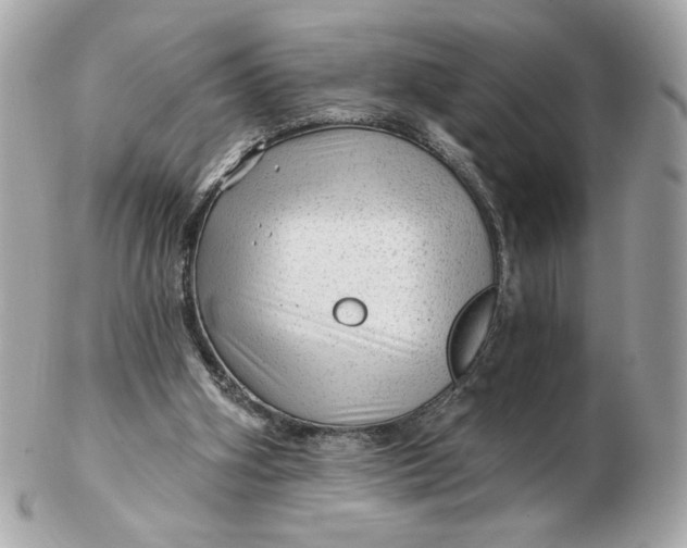 X0000102490106200808291658