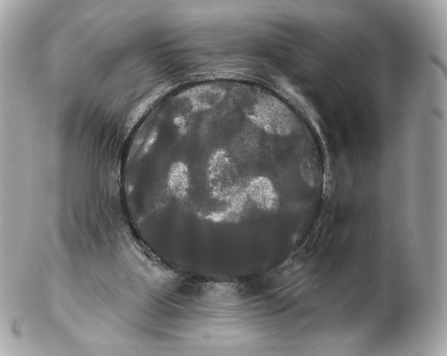 X0000102490107200808291658