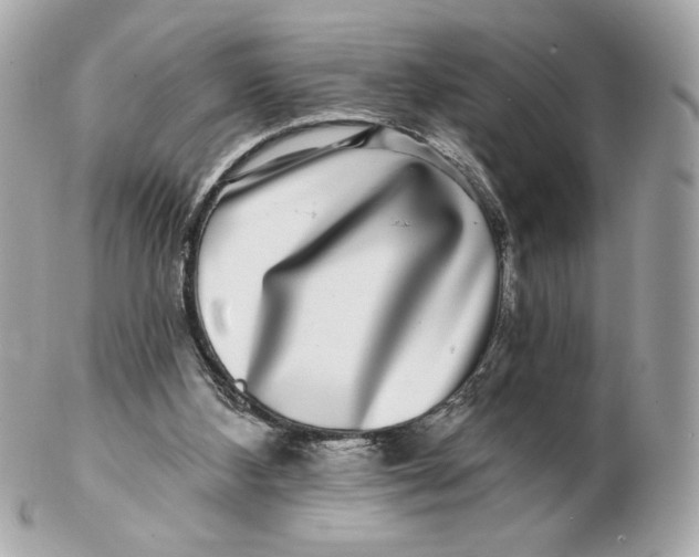 X0000102490108200808291658