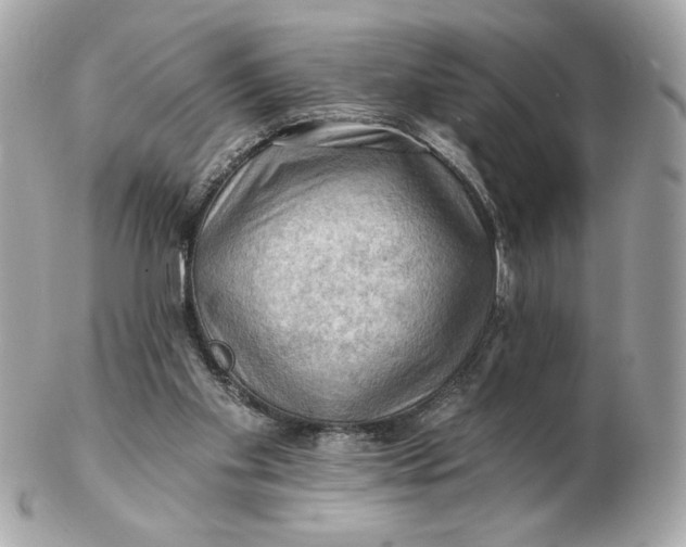 X0000102490109200808291658