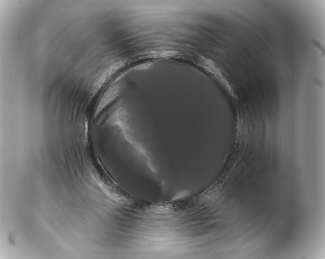 X0000102490110200808291658