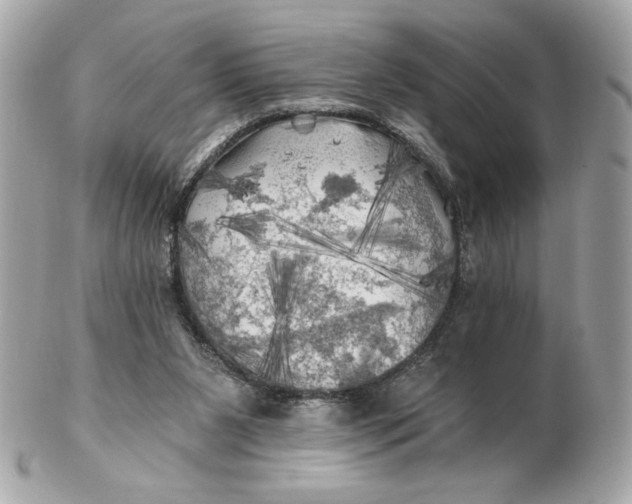 X0000102490111200808291658