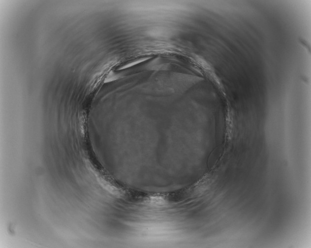 X0000102490114200808291658