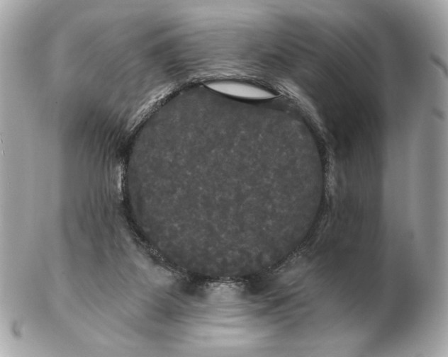 X0000102490115200808291658