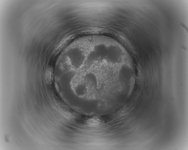 X0000102490119200808291658