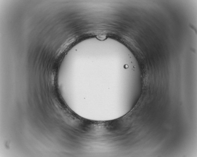 X0000102490120200808291658