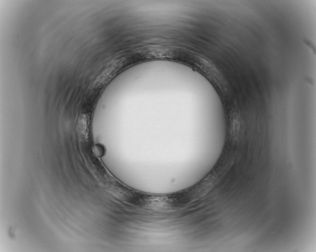 X0000102490121200808291658