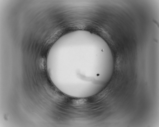 X0000102490122200808291658