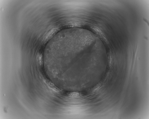 X0000102490123200808291658