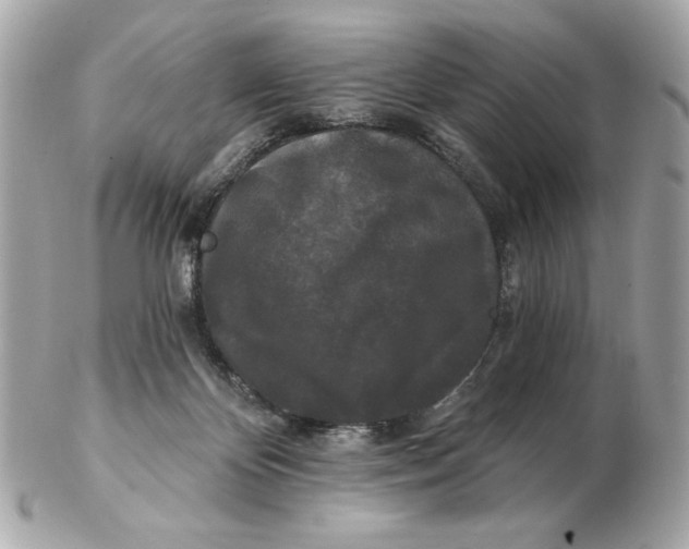 X0000102490124200808291658