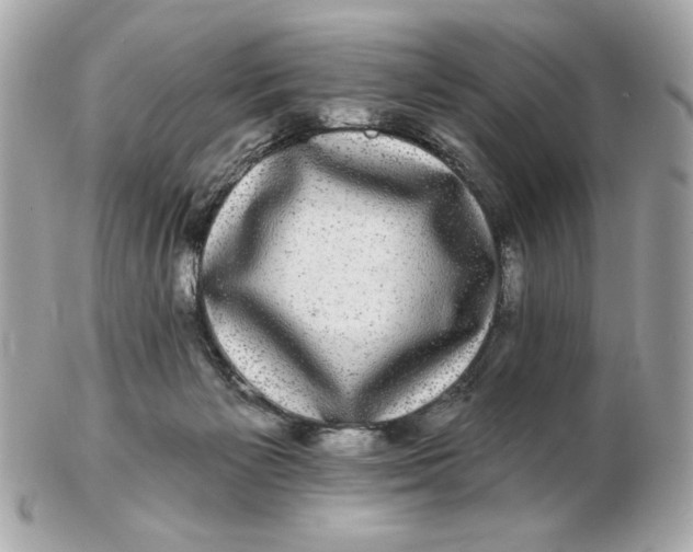 X0000102490125200808291658