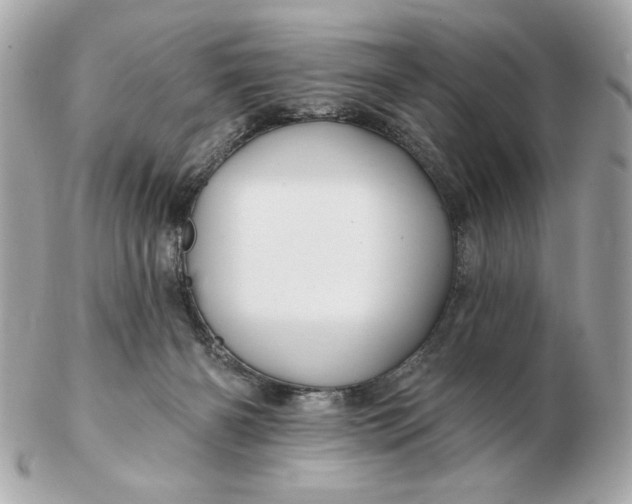 X0000102490126200808291658