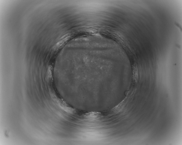 X0000102490128200808291658