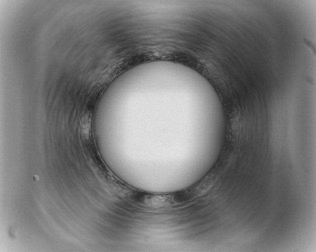 X0000102490129200808291658