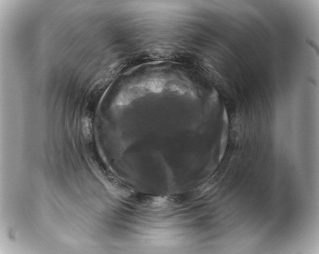 X0000102490130200808291658