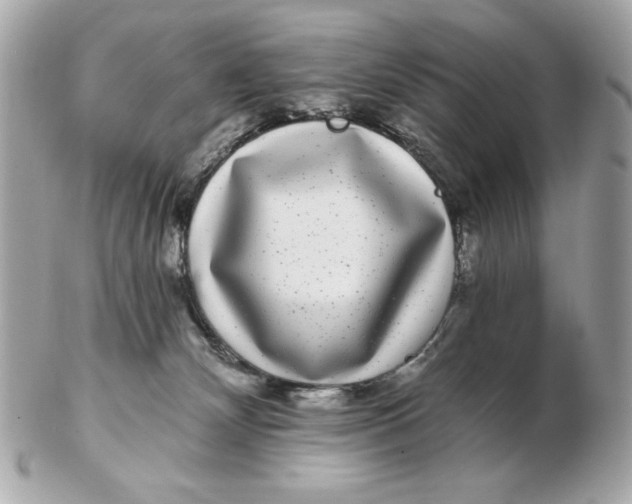 X0000102490132200808291658