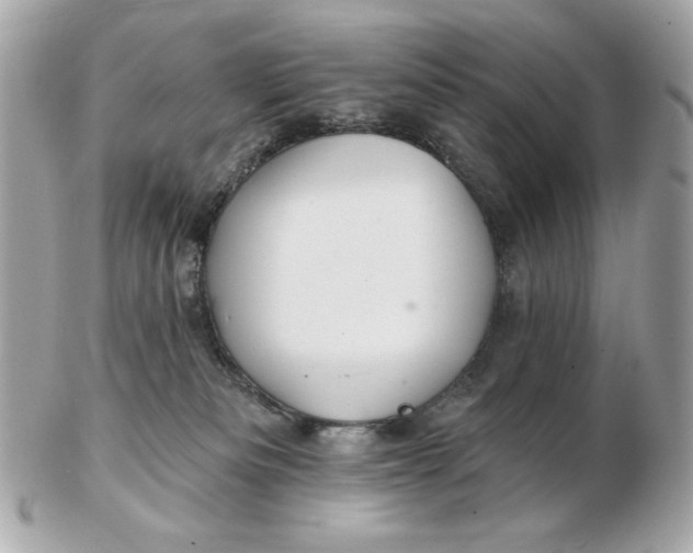 X0000102490133200808291658