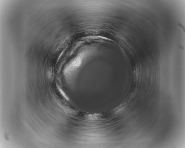 X0000102490134200808291658