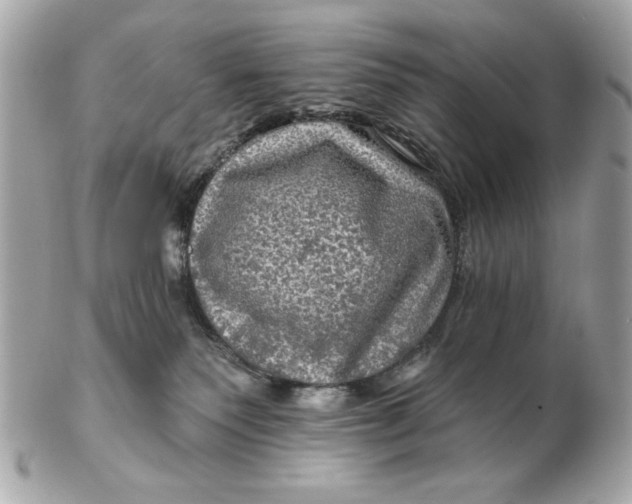 X0000102490135200808291658