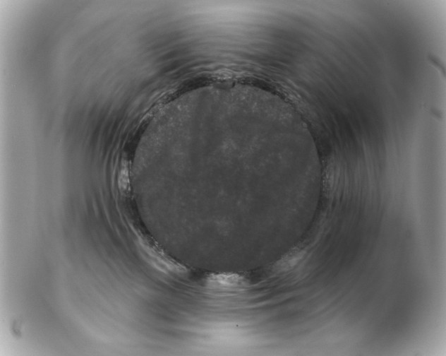 X0000102490137200808291658